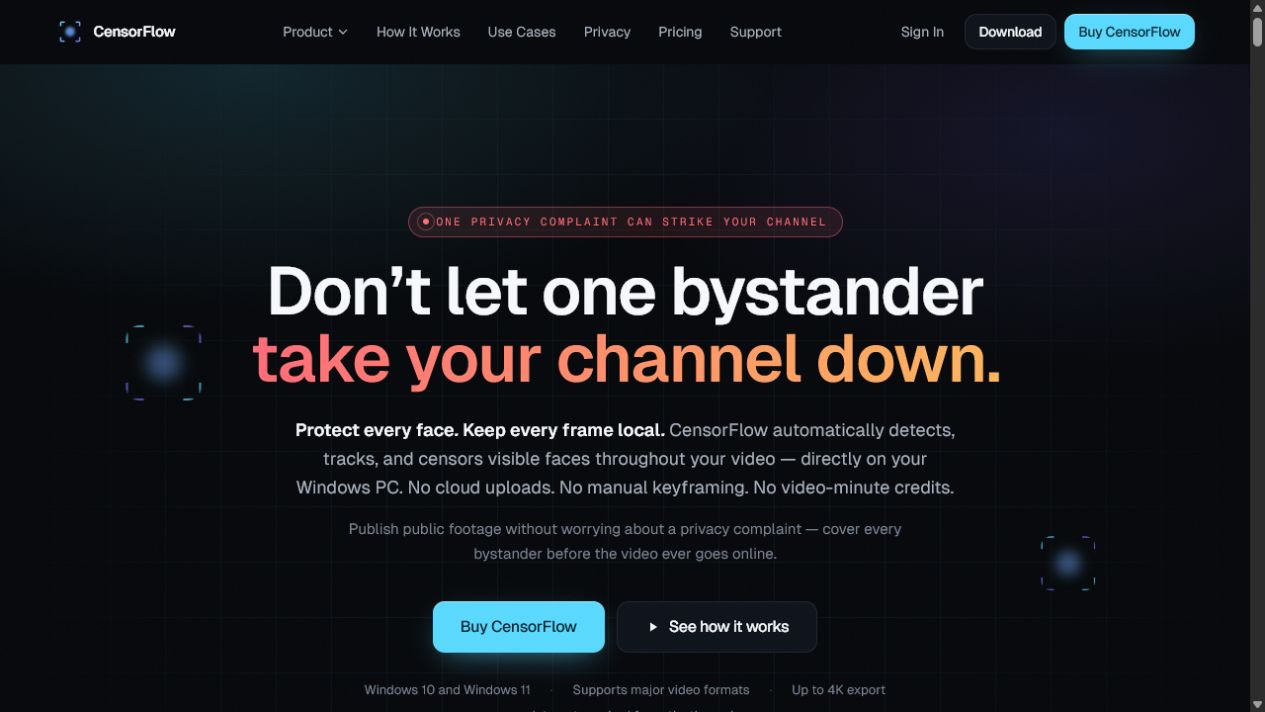 CensorFlow privacy video interface